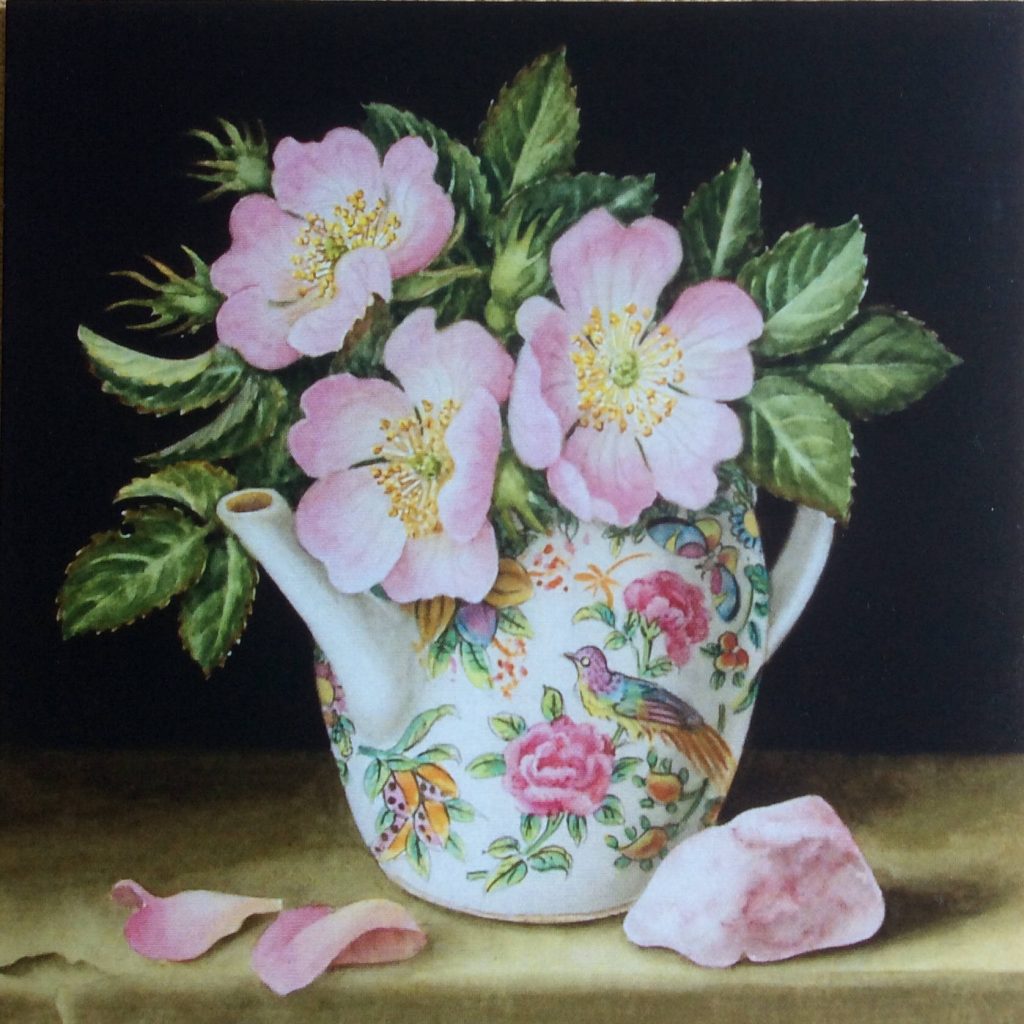 Pink dogrose blossoms in antique Famille Rose teapot with black background Greeting Card