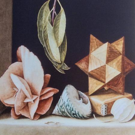 Still life with Desert rose, shell, wooden puzzle and eucalyptus leaves Greeting Card