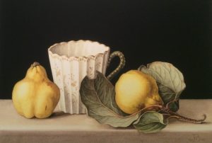 Two golden yellow quinces and an antique porcelain cup