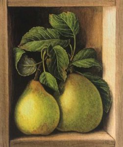 Two pears with green leaves in a wooden box